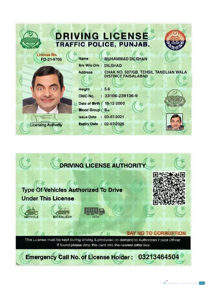 download India Punjab driving license 2021 present